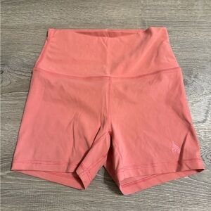 Ryderwear NKD shorts small